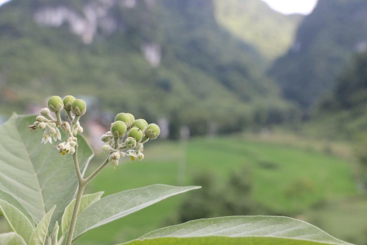 Khuoi Ky Eco Homestay Cao Bang Extérieur photo